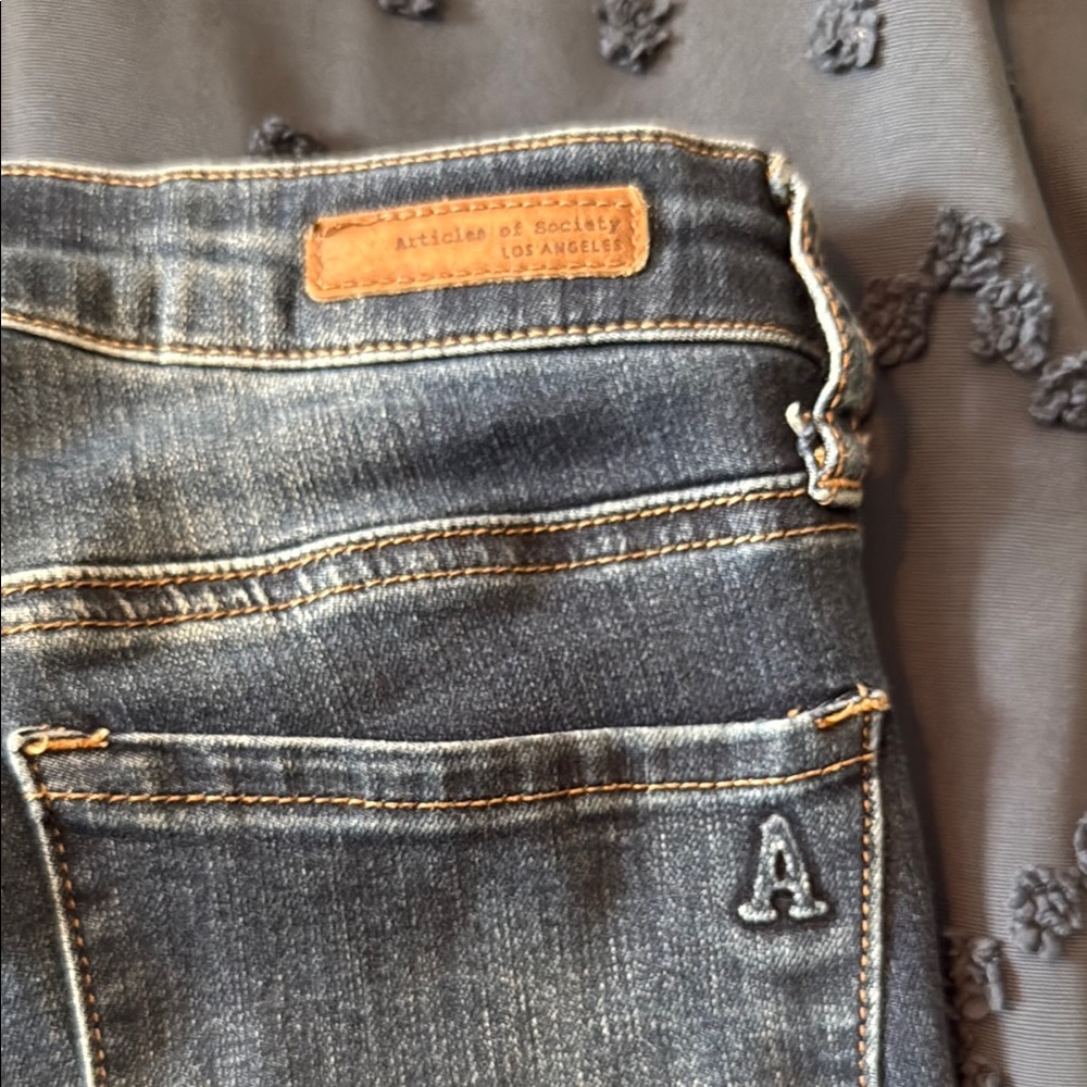 Articles Of Society Blue Skinny Jeans with Classic Styling - Picture 4 of 4